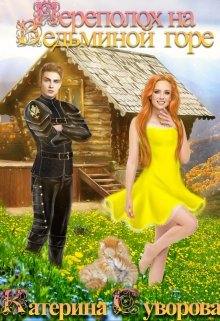 Переполох на Ведьминой горе / Катерина Суворова