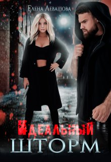 Идеальный шторм / Елена Левашова