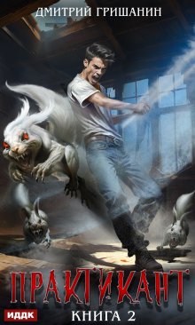 Практикант. Книга 2 / ИДДК