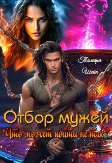 Отбор мужей. Что может пойти не так? / Тамара Шейн