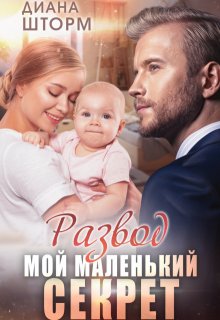 Развод. Мой маленький секрет / Диана Шторм